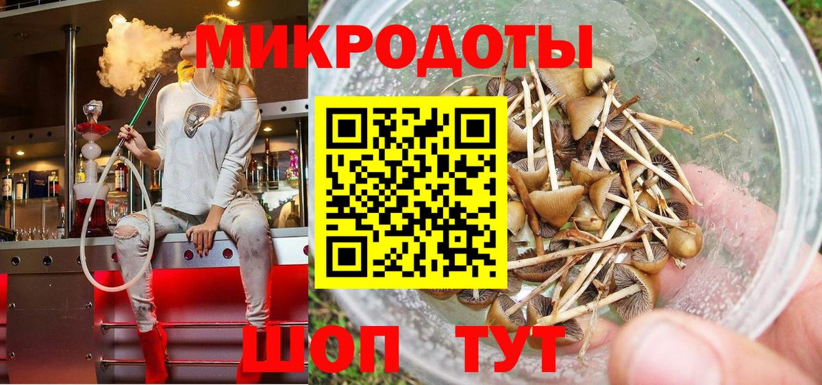 Псилоцибиновые грибы Psilocybe Ахтубинск